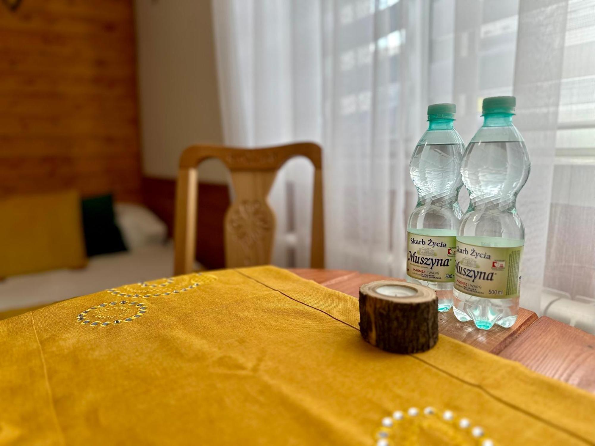Appartement Gorska Ostoja à Muszyna Extérieur photo